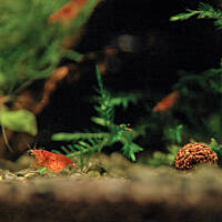 Mój podwodny świat cz.1