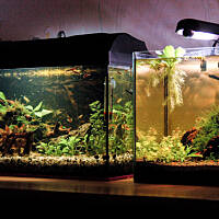 Mój podwodny świat cz.1