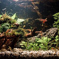 Mój podwodny świat cz.1