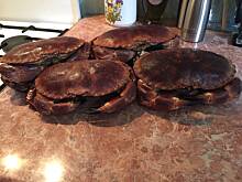 Fot. iwciaG, Francja-Langwedocja