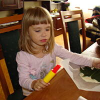 Jesienny liść z masy solnej.