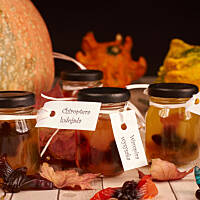 Nietoperze w formalinie