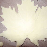 Jesienny liść z masy solnej.