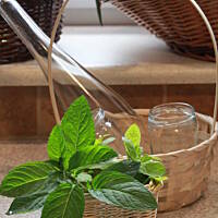 Lemoniada Bardzo Aromatyczna