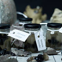 Nietoperze w formalinie