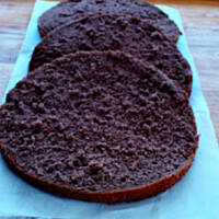 Biszkopt kakaowy rzucany - idealny