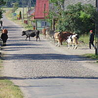 Zakochałam się )))