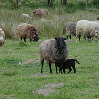 Zakochałam się )))