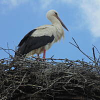 Zakochałam się )))