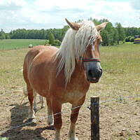 Zakochałam się )))