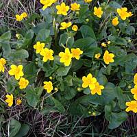 Piękno natury... :)