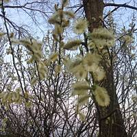 Piękno natury... :)