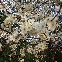 Piękno natury... :)