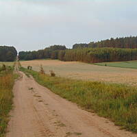 Zakochałam się )))