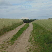 Zakochałam się )))