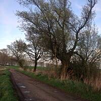 Piękno natury... :)