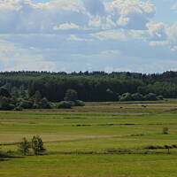 Zakochałam się )))