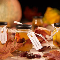 Nietoperze w formalinie