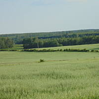 Zakochałam się )))