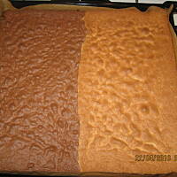 Tort  śmietanowo owocowy  Panczo