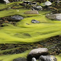 Caldera de Taburiente