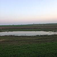 Piękno natury... :)