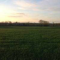 Piękno natury... :)