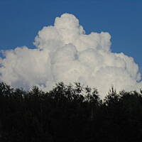 Zakochałam się )))