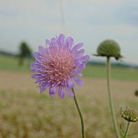 Zakochałam się )))