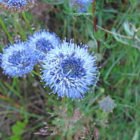 Zakochałam się )))