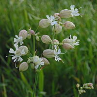 Zakochałam się )))
