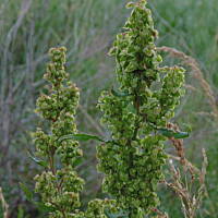 Zakochałam się )))