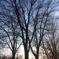 Piękno natury... :)