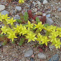 Zakochałam się )))