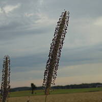 Zakochałam się )))