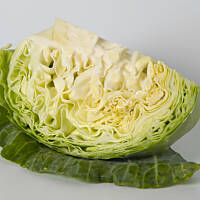 Młoda kapusta pyszna głowa pusta