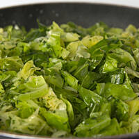 Młoda kapusta pyszna głowa pusta