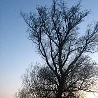 Piękno natury... :)