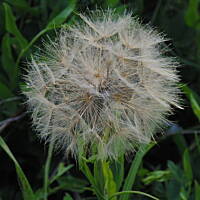 Zakochałam się )))