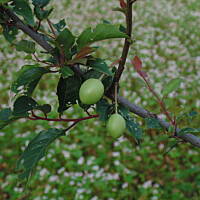 Zakochałam się )))