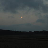 Zakochałam się )))