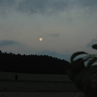 Zakochałam się )))