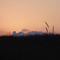 Zakochałam się )))