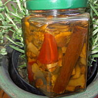 Kurki marynowane z chili