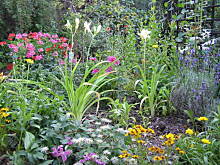 Fot. Dorota 789, A co tam, też się trochę pochwalę...