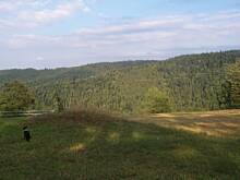 Fot. Ola1979, Tęskno mi....