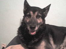 Fot. Janek, Nowy domownik