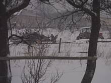 Fot. aleczka, Zima, Panie zima;-)