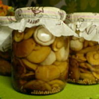 Grzybki marynowane wypróbowane;)