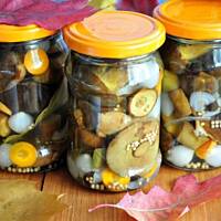 Marynowane podgrzybki